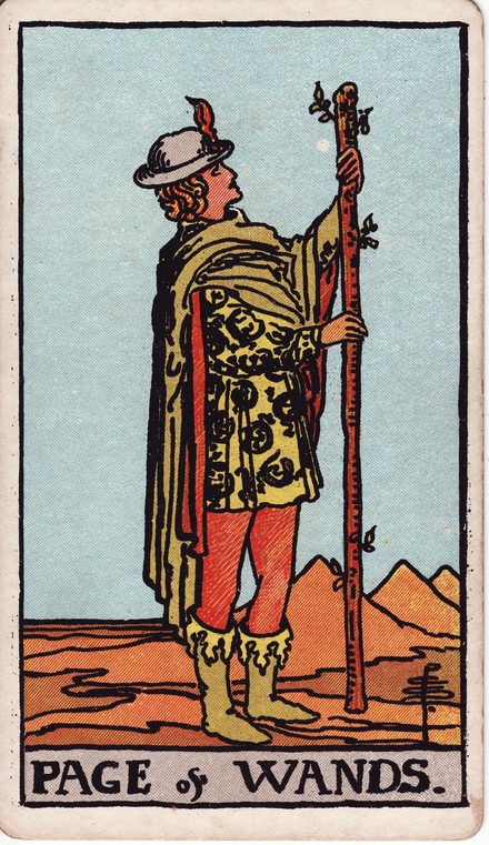 Asalar (Değnekler) Uşağı Tarot Kartı Anlamı